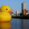 Blood sports and leaky boats. Big_duck