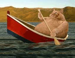 [Image: Cat_in_boat.jpg]