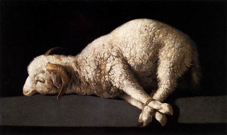[Image: lamb.jpg]