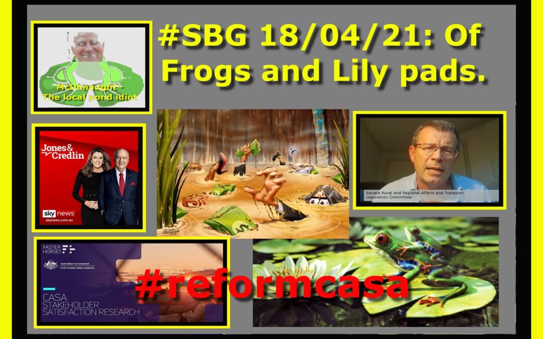 #SBG 18/04/21: Of Frogs and Lily pads.