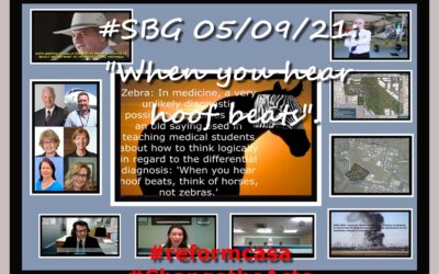 #SBG 5/09/21: “When you hear hoof beats”.